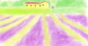 Campos de Grsse (El Perfume)